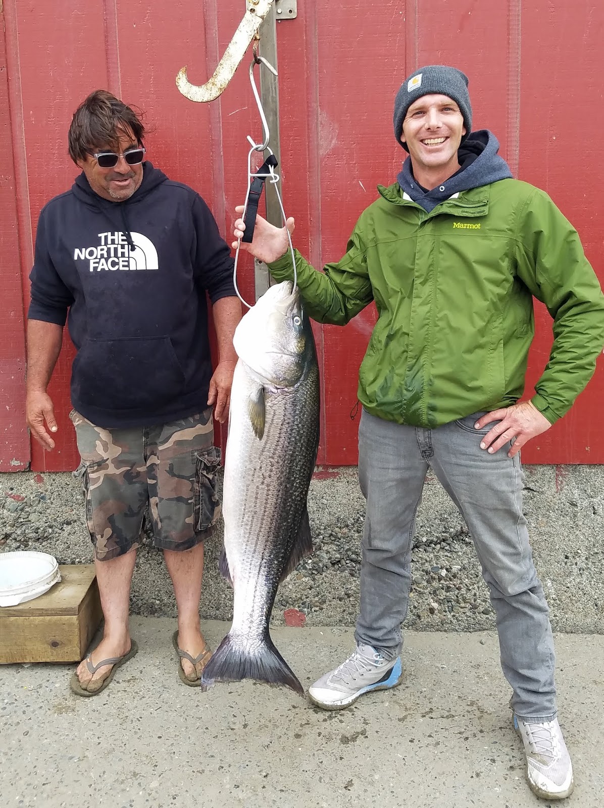 Lawson's landing sale fishing report